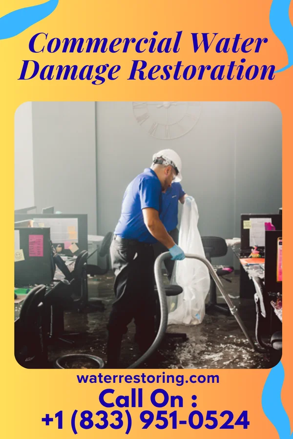 Commercial Water Damage Restoration in Duck Key, FL