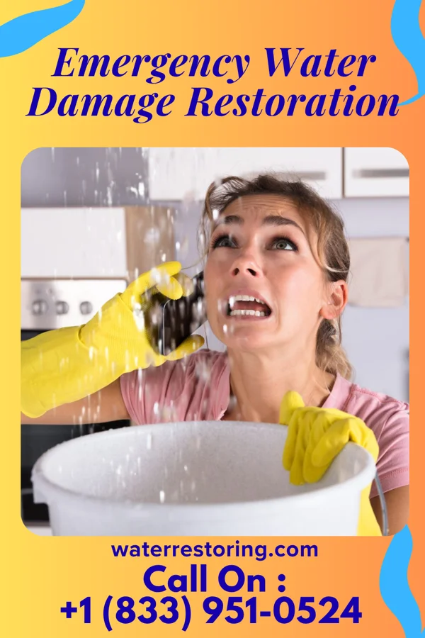 Emergency Water Damage Restoration in Duck Key, FL